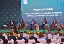 Partenariat public-privé : l’alliance des talents au service du développement au Togo