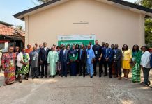 Fièvre de Lassa : la Sierra Leone prépare l’ère du vaccin