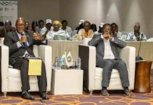 OOAS : adoption de la Charte de Freetown pour intensifier la lutte contre le paludisme