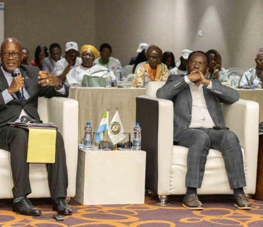 OOAS : la déclaration de Freetown pour intensifier la lutte contre le paludisme