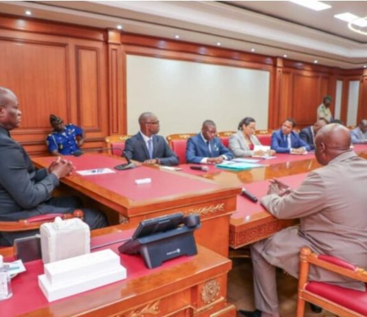 Routes stratégiques au Gabon : EBOMAF fait le point au Président Nguéma