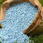 Togo : 42 milliards pour booster la production vivrière