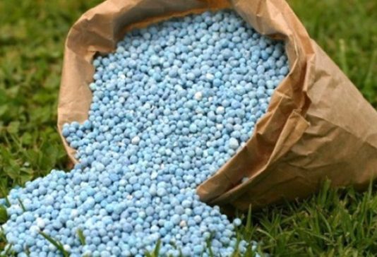 Togo : 42 milliards pour booster la production vivrière