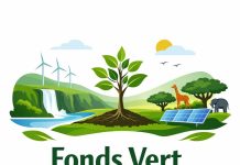 Conseil des ministres : cap sur la gouvernance verte