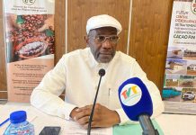 Cacao togolais : un centre d’excellence à Abréwankor pour conquérir les marchés de niche