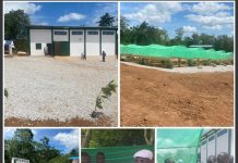 Cacao togolais : inauguration d’un centre d’excellence à Abréwankor pour conquérir les marchés de niche