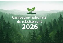 1er juin : le Togo lance la campagne nationale de reboisement 2026