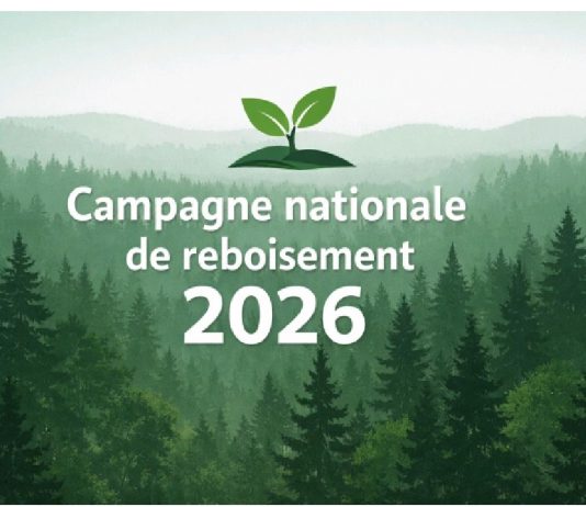 1er juin : le Togo lance la campagne nationale de reboisement 2026