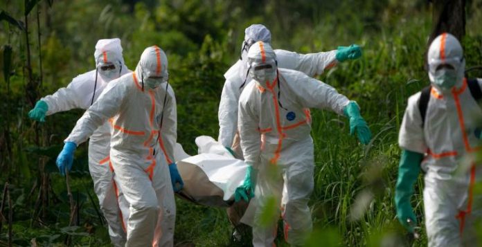field_media_image-49179-AP_Ebola_Un_an