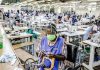 ANPE : 15 000 chercheurs d’emploi accompagnés