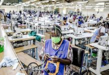 ANPE : 15 000 chercheurs d’emploi accompagnés