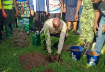 Reboisement à Agoè-Nyivé 1 : 500 plants mis en terre