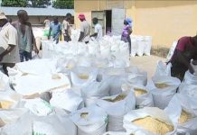 Savanes : au‑delà des projections alarmistes