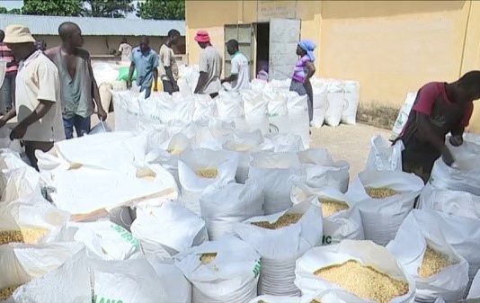 Savanes : au‑delà des projections alarmistes