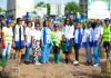 WILA Togo : Femmes et logistique au cœur du reboisement