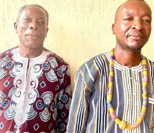 Médecine traditionnelle : le Togo honore en août ses praticiens
