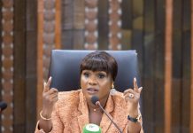 Sandra Johnson place le secteur privé au centre du dialogue Europe‑Togo