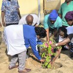 Journée nationale de l’arbre : le ministère de la Santé s’engage