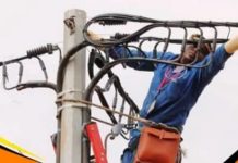 Plateaux : 33 338 nouveaux raccordements électriques en 2026