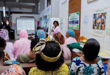 Paludisme au Togo : une plateforme numérique pour centraliser les données