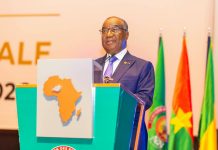 Parlement confédéral du Sahel : le Togo honoré par la présence du Professeur Selom Klassou