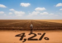 Agriculture togolaise : un socle en mutation