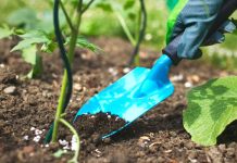 Intrants agricoles : les moteurs discrets de la révolution des champs