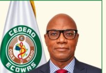 CEDEAO : qui est le Professeur Palokinam T. Pitche, nouveau Directeur Général de l’OOAS ?