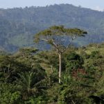 Togo : PALCC+/INCLURE entre en phase opérationnelle