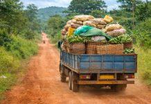 Agriculture togolaise : des récoltes qui deviennent revenus
