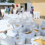 ANSAT : le maïs des Savanes ouvre la campagne d’achat