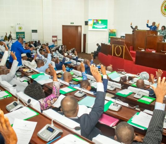 Médiation : les députés ouvrent au Togo les portes de l’IOMed