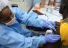 Lassa : l’OOAS défend à Berlin un vaccin pour l’Afrique de l’Ouest