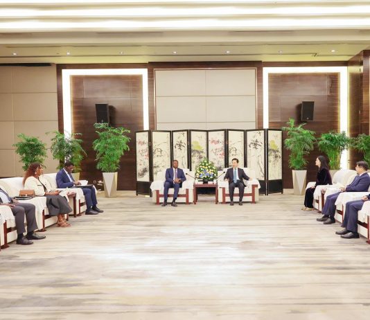 Faure Gnassingbé reçu par Xi Jinping à Pékin
