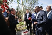 Nangou : Faure Gnassingbé s’inspire du modèle chinois de développement local