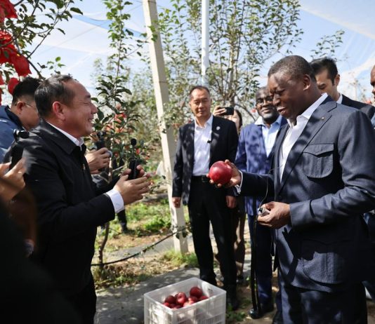 Nangou : Faure Gnassingbé s’inspire du modèle chinois de développement local