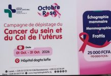 Octobre Rose : le dépistage à prix réduit chez Dogta-Lafié